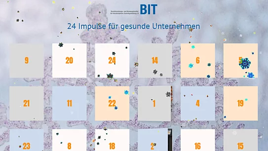Adventskalender 2022