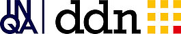 DDN Logo